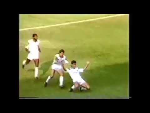 Palmeiras 1 x 3 Novorizontino (25/08/1991) - Paulistão 1991
