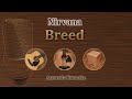 Breed - Nirvana (Acoustic Karaoke)