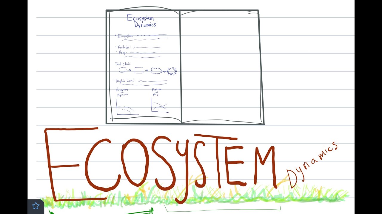 SciNB: Ecosystem Dynamics