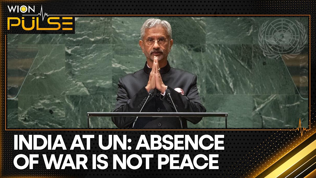 India's Clear Warning to Pakistan at United Nations | WION Pulse