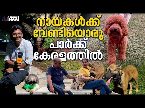 കേരളത്തിൽ നായകൾക്ക് വേണ്ടിയൊരു പാർക്ക് | Dog Park Kochi | Rajendhra Maidhan