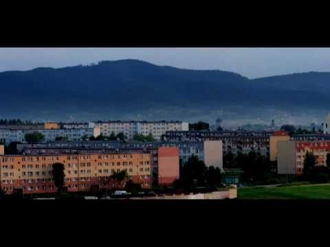 Szczuras   Urodzeni By