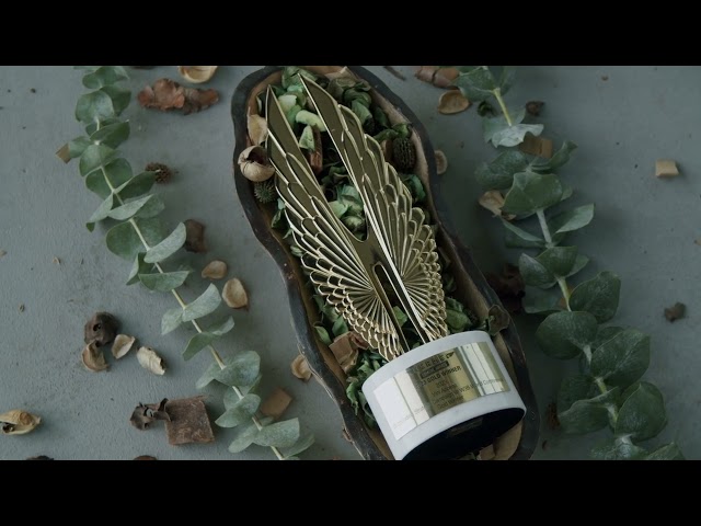 P&l management developers developer - Vini A.'s portfolio image