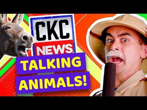 Witness21  2021 11 11