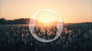 Sammy Adams - I Wish