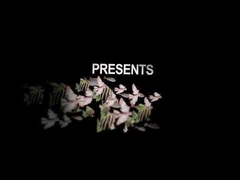 Nocando (feat. Busdriver) Two Track Mind