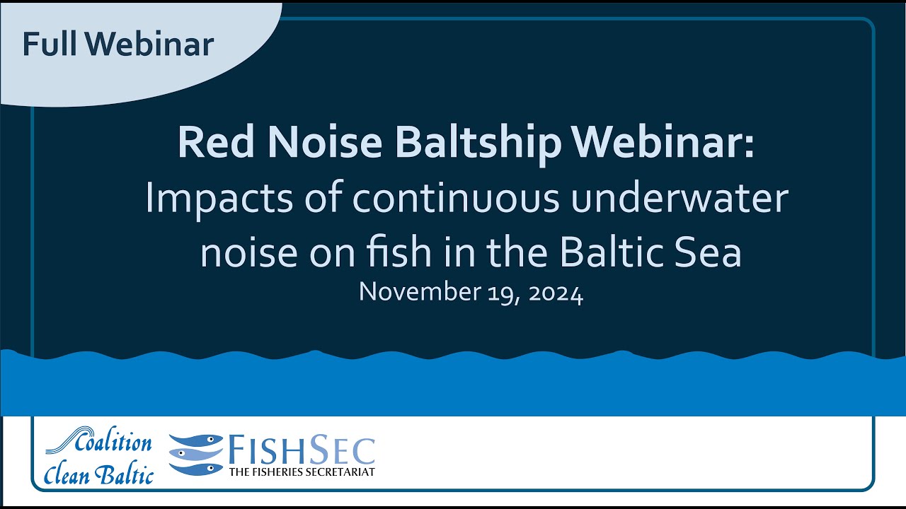 Webinar recording "Impacts of continuous underwater noise on fish in the Baltic Sea"