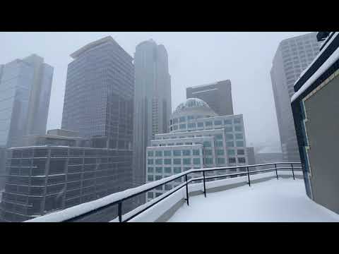 Seattle Snowstorm (2.13.2021)