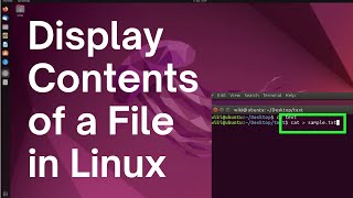 How to Display Contents Of A Text File On Command Line Linux