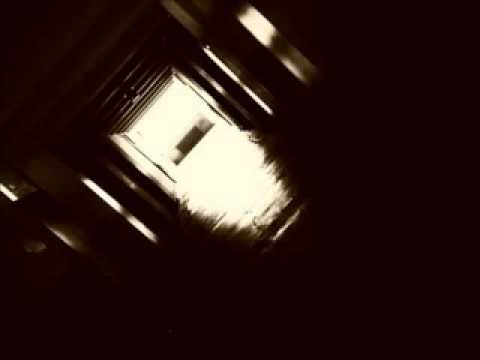 Elleran Elvis - Akon izma