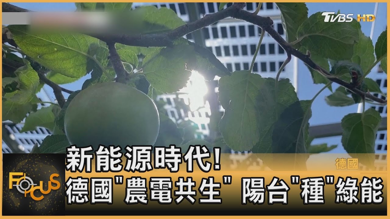 新能源時代！德國「農電共生」　陽台「種」綠能