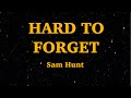 Sam Hunt Hard To Forget Lyrics We Are Lyrics