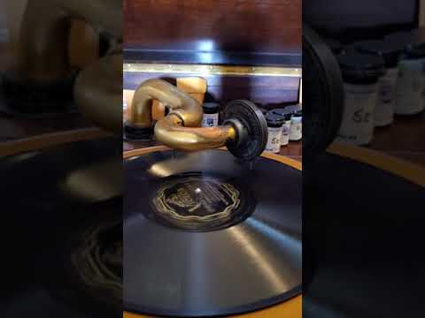 Forever Waltz - Ben Pollack and his Park Central Orchestra  Victor Records #21716