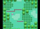 Route 101 - Pokemon Ruby and Sapphire Versions by Morikazu Aoki