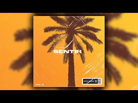 [FREE] LATIN SPANISH GUITAR SAMPLE PACK/LOOP KIT 2022 - "SENTIR"