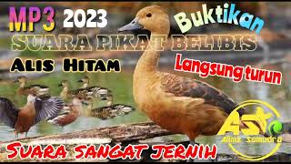 Download lagu COBA SUARA PIKAT INI 🔴 BELIBIS ALIS HITAM DIJAMIN LANGSUNG POIN. mp3