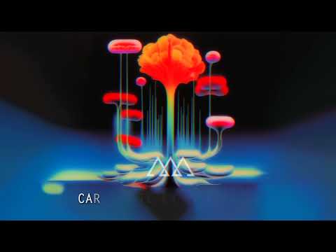 Inseguro - Lyric Video