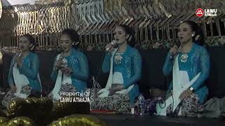 Download lagu PANGKUR LOMBO - SUKESI RAHAYU mp3