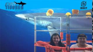 DIA 2 Expo Tiburon185