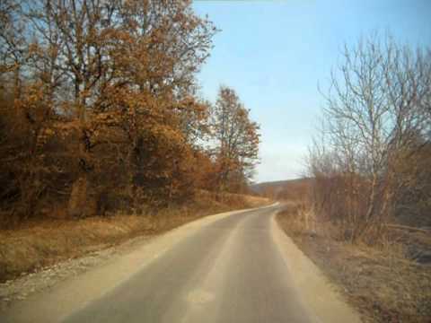 Calan Grid  inainte de a inverzi padurea.AVI