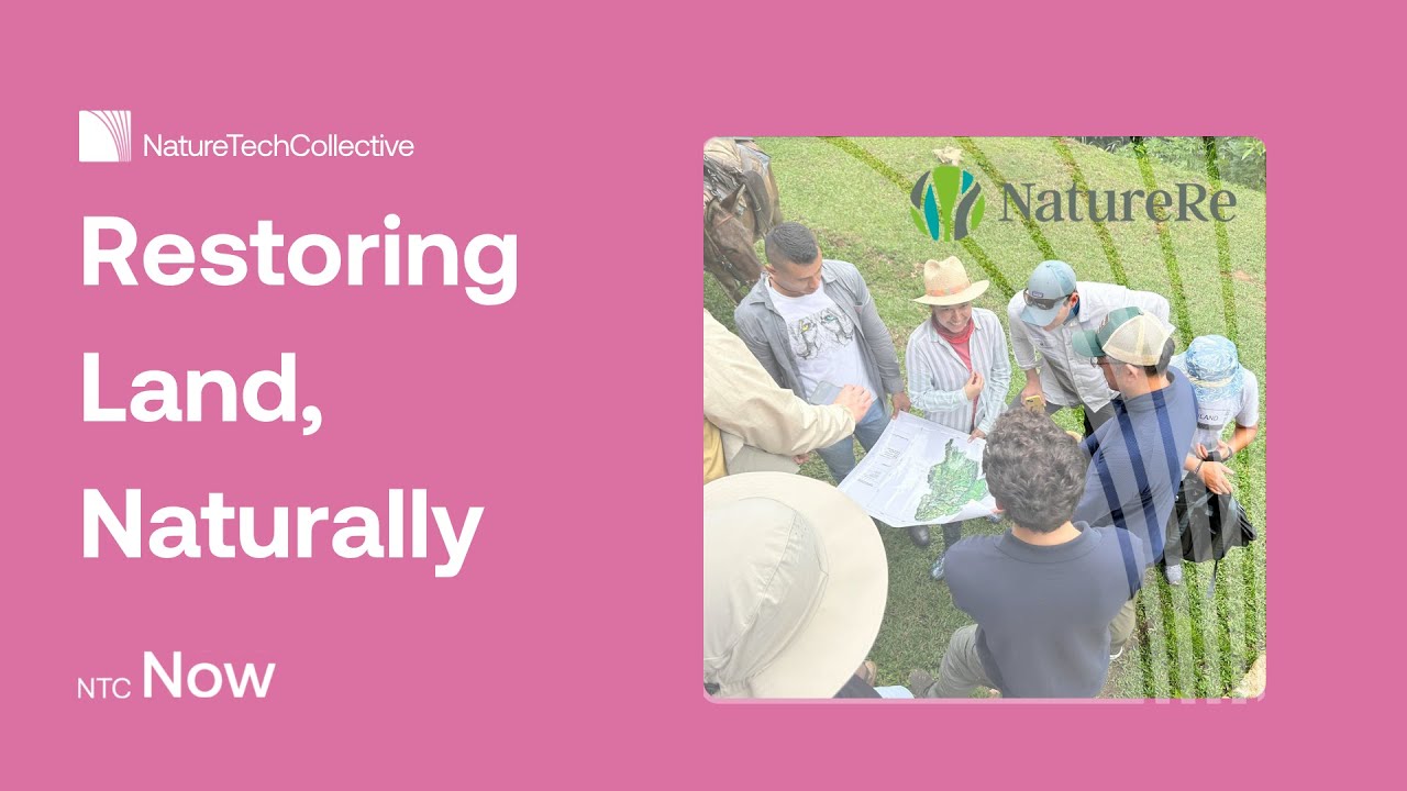 How NatureRe Restores Cattle Ranch Land with Assisted Natural Regeneration in Colombia