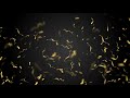 60:00 Minutes / Golden Confetti Falling Down in Slow Motion Over Black Background 4K (Free)