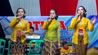 Download lagu Pambuko - Fortuna Electone - CISS Audio - Mategal sumberdodol mp3 Download lagu Pambuko - Fortuna Electone - CISS Audio - Mategal sumberdodol mp3