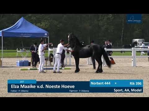 KFPS Centrale Keuring 2021, zaterdag 18 september in de hoofdring