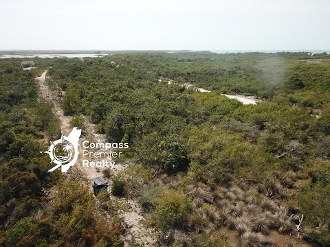 Grand Belizean Estate Lot #1146