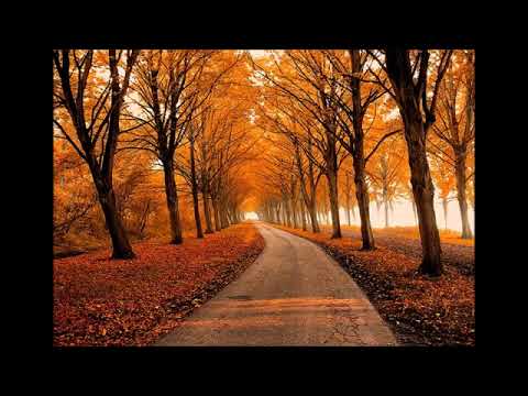 Autumn Relaxing Music - George Winston
