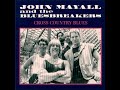 JOHN MAYALL & THE BLUESBREAKERS - 17 Black Cat Moan (1984)