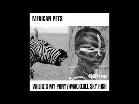 Mexican Pets: Where's my pony?