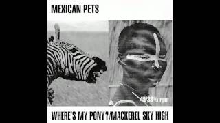 Mexican Pets: Where's my pony?