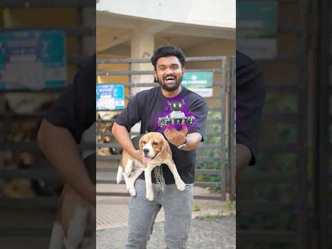 Chote bhai ka Robo Dog! #shorts