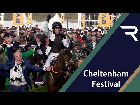2022 Cheltenham Festival Day 3: Replays, interviews & more including Flooring Porter and Allaho