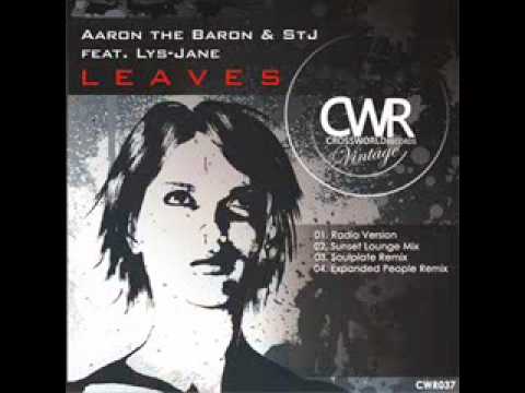 Aaron The Baron and STJ feat Lys Jane - Leaves (Soulplate Remix)