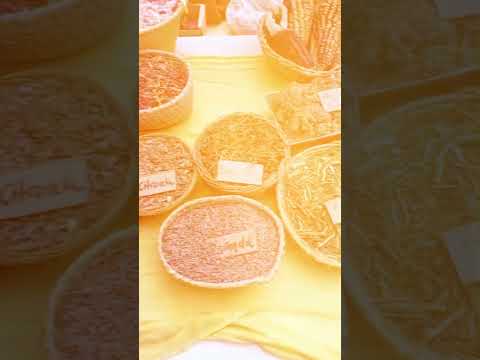 Feria Mendiolaza y Intercambio de Semillas