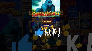Big Win on Congo Cash XL bigwin slots Video