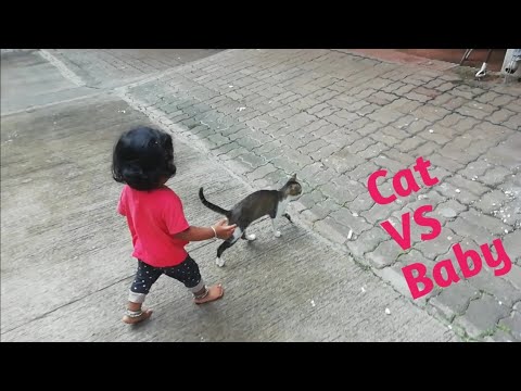 Baby Pratyush And Cat | Funny video | Pratyush Patil | At 16 Months