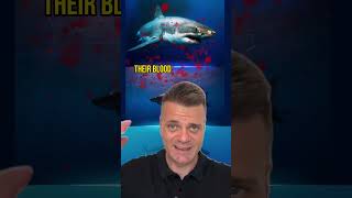 GREAT WHITE SHARK Facts To Boggle Your Mind