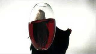 black rabbits - colt