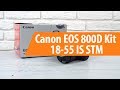 Фотокамера Canon EOS 800D Kit 18-55 IS черный - Видео