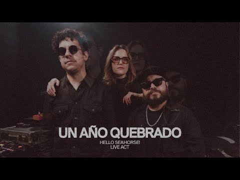 HELLO SEAHORSE! - UN AÑO QUEBRADO (LIVE SESSION)