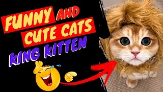 SUPER SHORTS 12 - FUNNY CATS AND CUTE