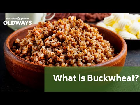 What is Buckwheat? An Intro to this Gluten Free Whole Grain