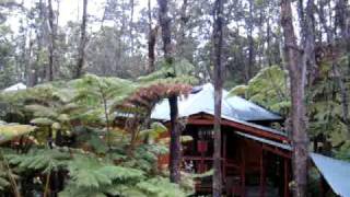 preview picture of video 'The Mauna Loa at Volcano Village Lodge'