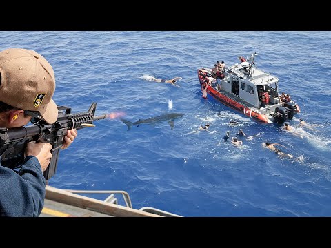 US Sailor Shoots at Shark to Save Fellow Sailors from Deadly Attack
