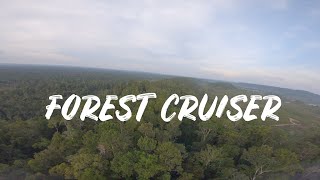 I'M BACK!!! - FOREST CRUISER | FPV DRONE