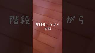 階段登る際のケツの掛け声に笑ってしまったら、ケツが怒り出した‪𐤔‪𐤔