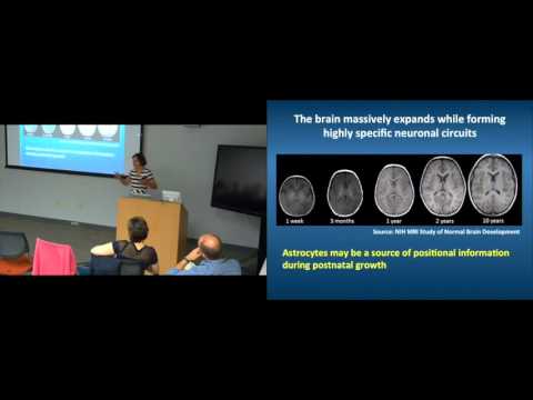 PUBTechSF @SiliconValley - Anna Molofsky | 16 de setembro de 2015